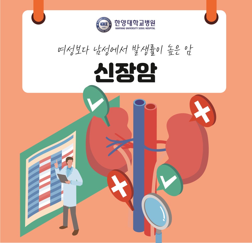 여성보다 남성에서 발생률이 높은, 국내 암 발생률 10대 암, 신장암 